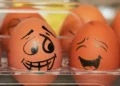 Solution Focussed Therapies 10 Happy Eggs