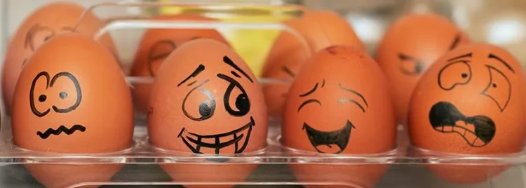 Solution Focussed Therapies 1 Happy Eggs
