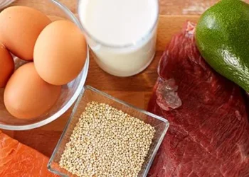 The Fed And Fasted State