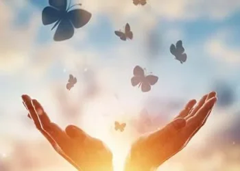 Transforming A Veteran'S Life