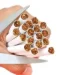 Understanding Smoking Addiction 9 Understanding Smoking Addiction