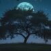 How to Sleep Better Naturally: Effective Stress Management & Mindfulness Tips 8 How To Sleep Better
