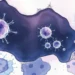 Survival Benefit With Obesity in Prostate Cancer 10 Survival Benefit With Obesity