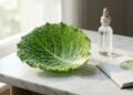 Cabbage Leaf Wraps For Arthritis